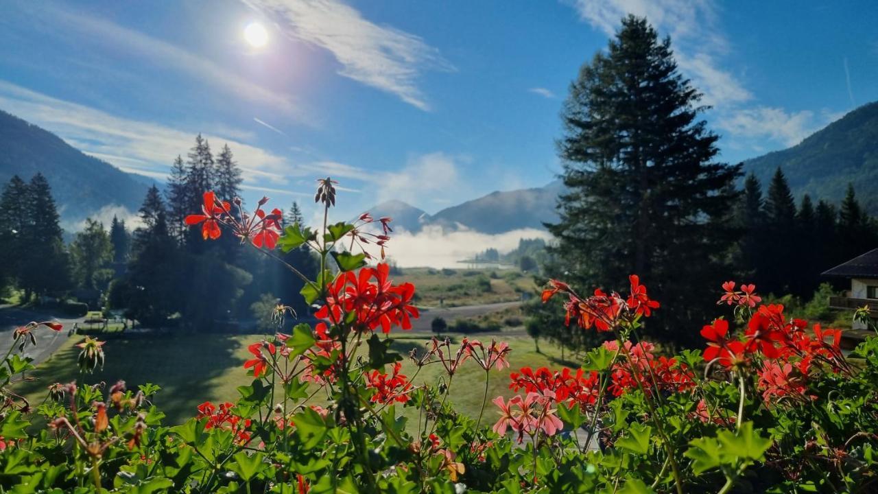 Kraners Alpenhof Bio Bed And Breakfast Pension 바이센제 외부 사진