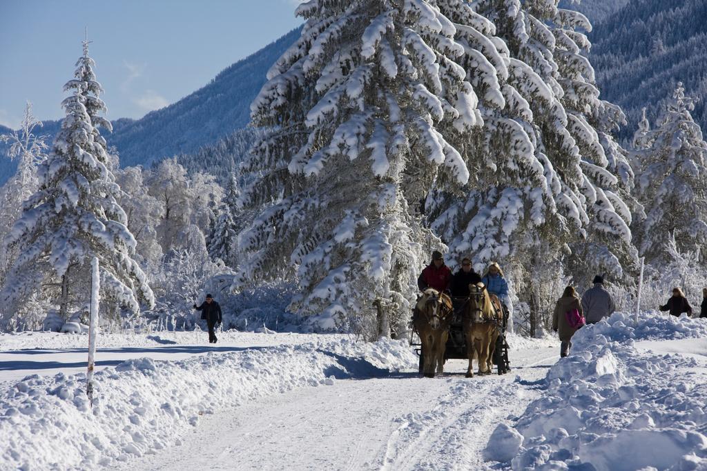 Kraners Alpenhof Bio Bed And Breakfast Pension 바이센제 외부 사진